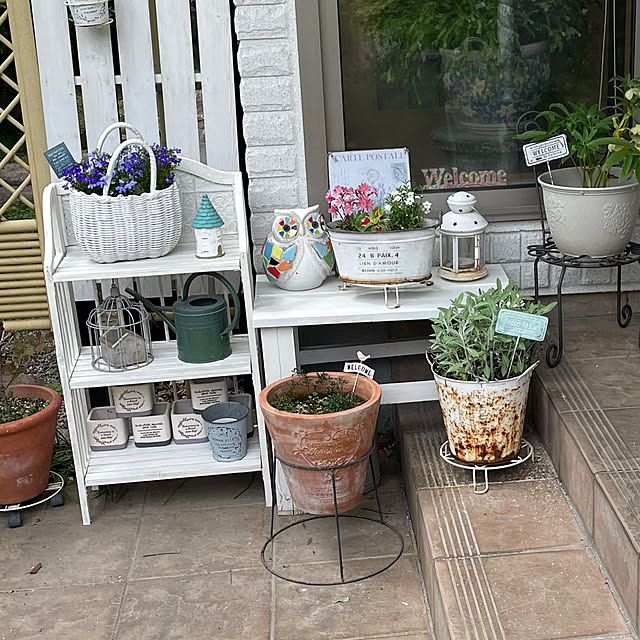 kuikoさんの部屋