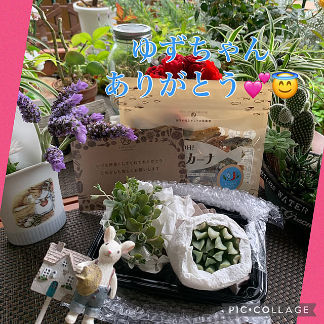 Aqettyさんの部屋