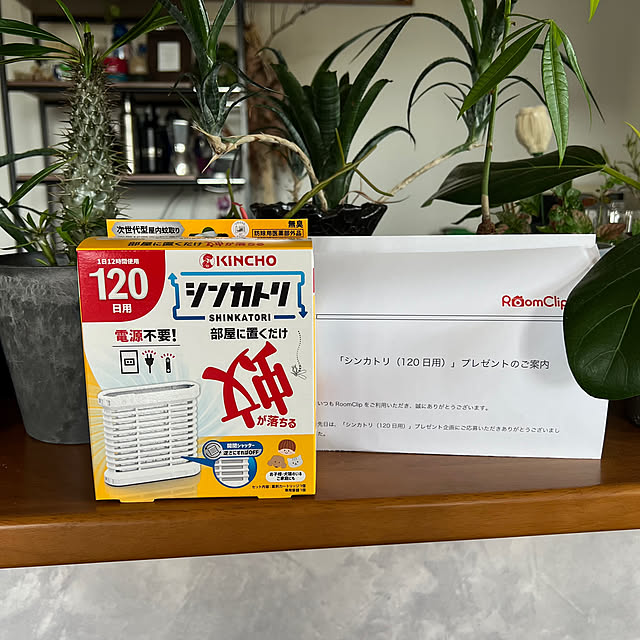 pokowheeさんの部屋