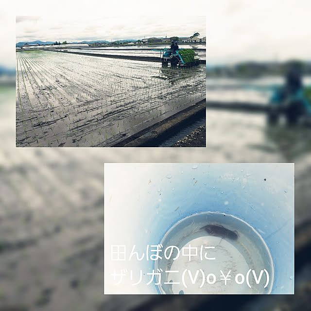tchtn.28さんの実例写真