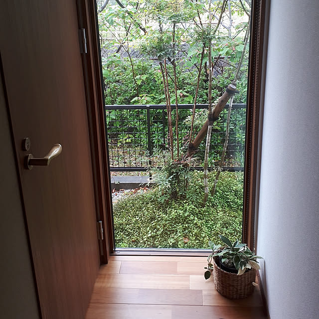 matthewさんの実例写真