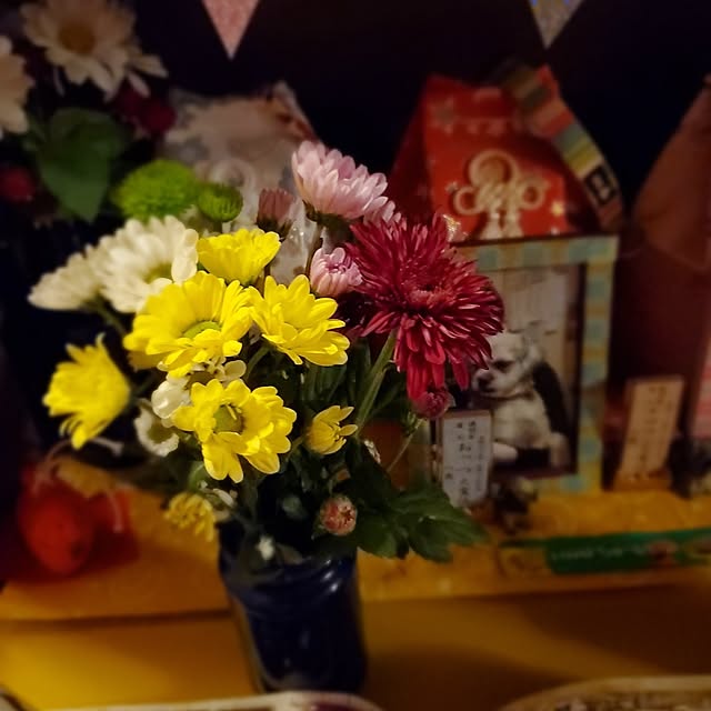 kumutanさんの部屋