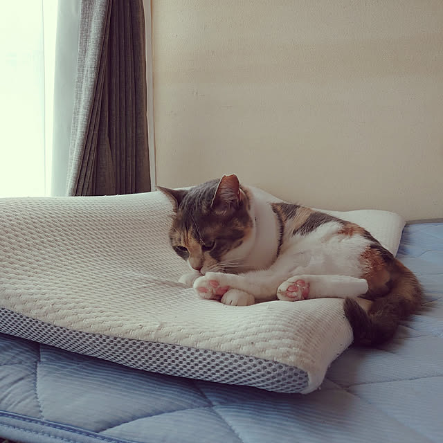 fukuさんの実例写真