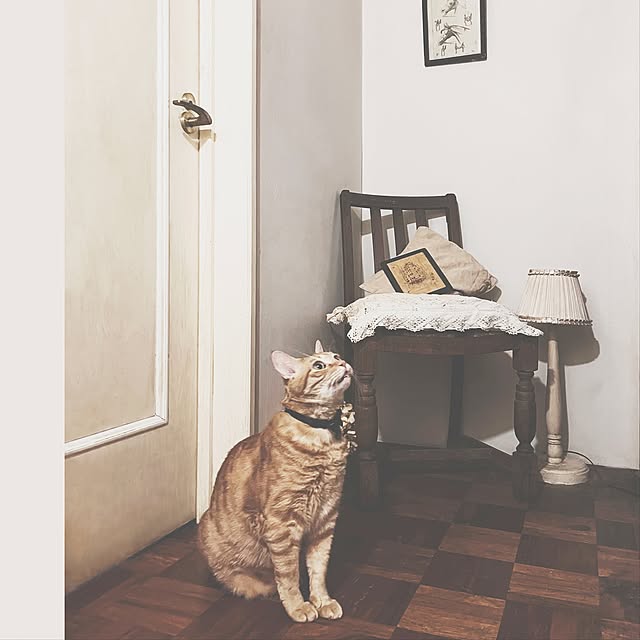 ataさんの実例写真