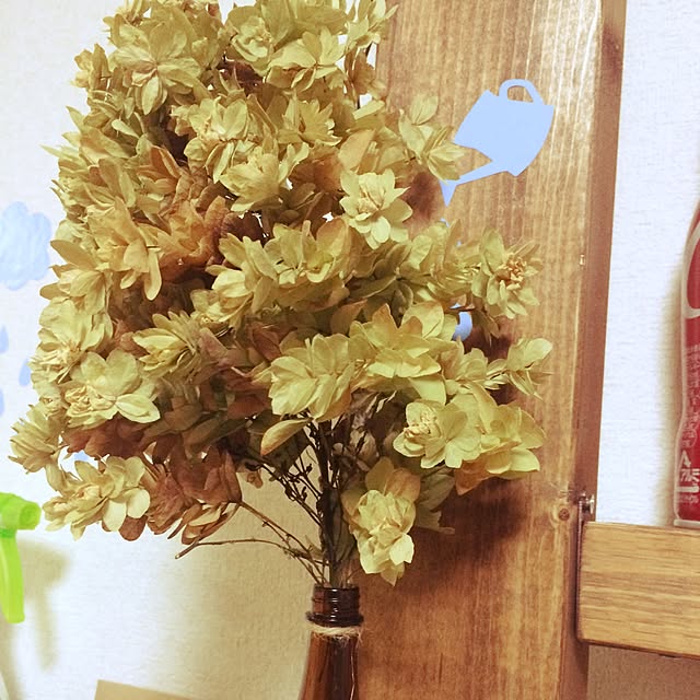 p0niさんの実例写真