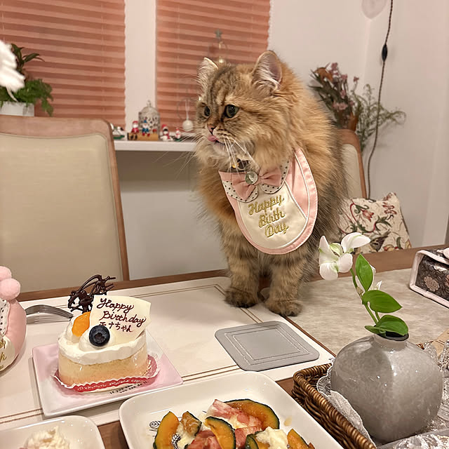 miyu39さんの部屋