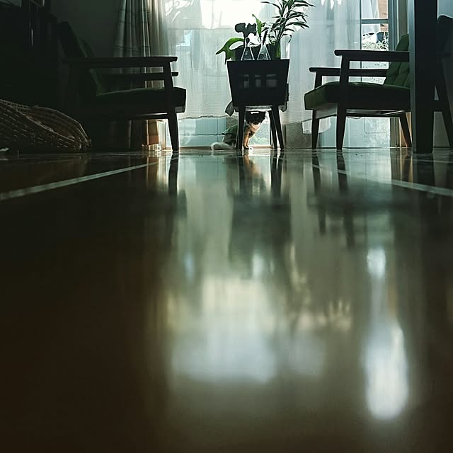 teさんの実例写真