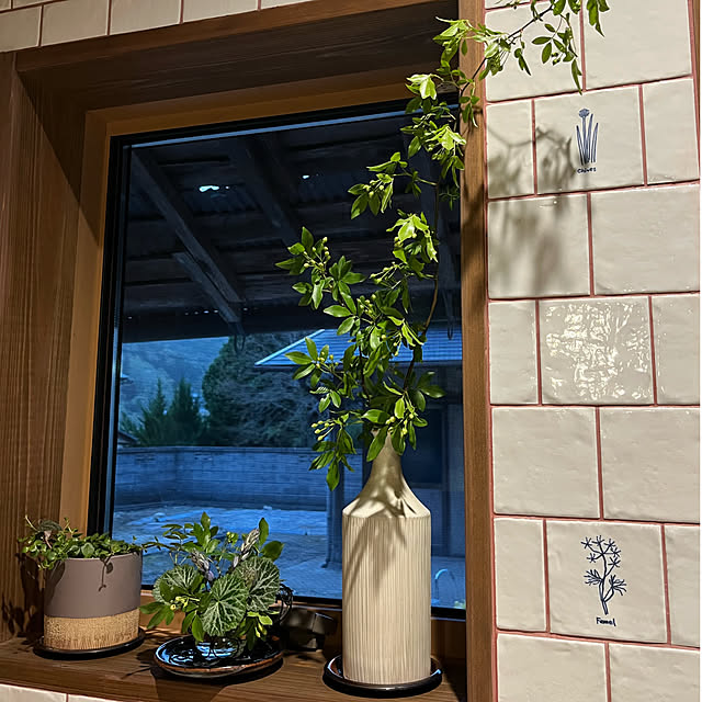cota2さんの部屋