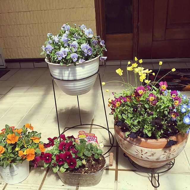 tanyuumoさんの実例写真