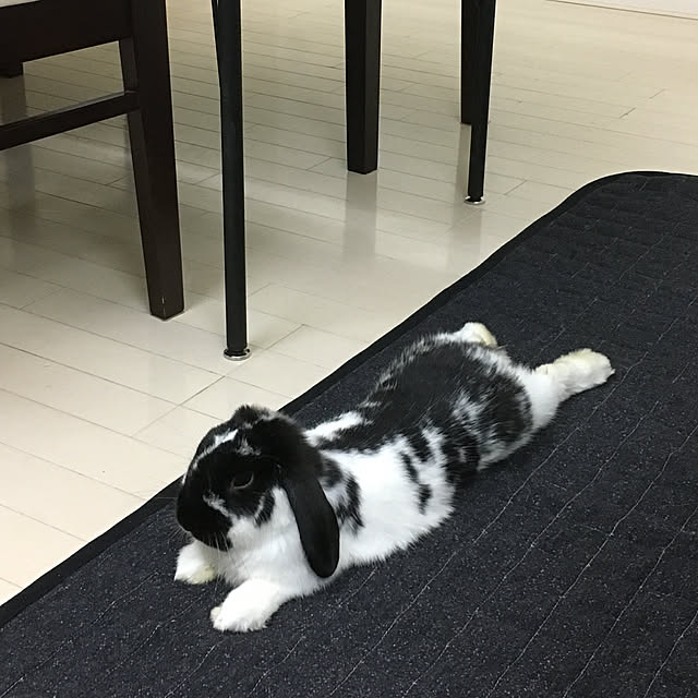 mana1021さんの実例写真
