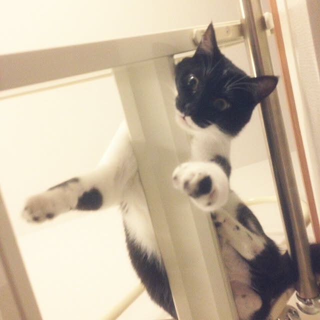 taeさんの実例写真