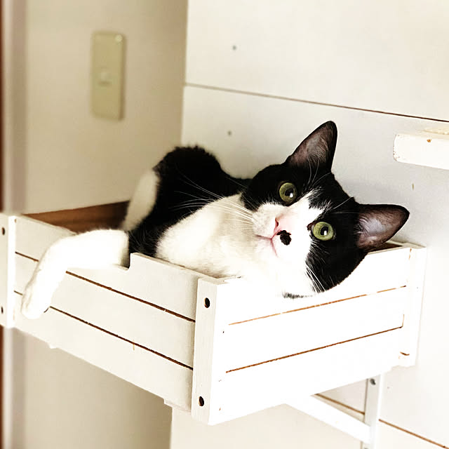kanaさんの実例写真