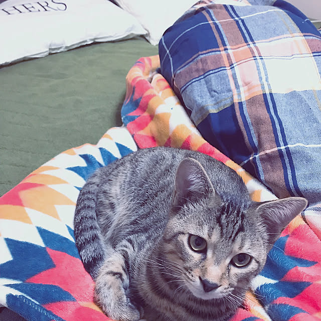 tyuさんの実例写真