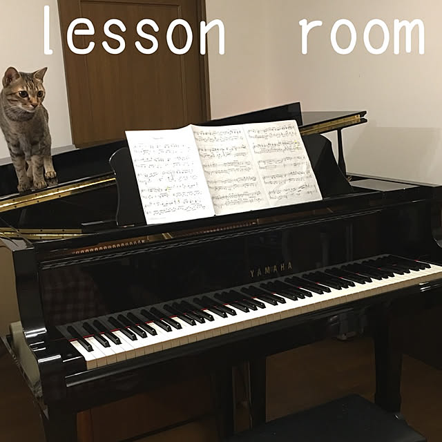 chikaさんの実例写真