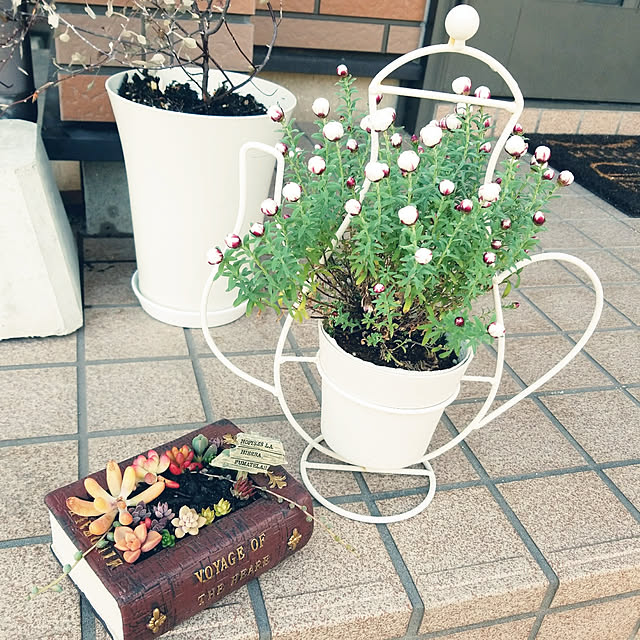 miiさんの実例写真