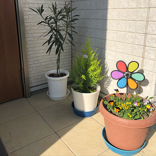 rrmさんの実例写真