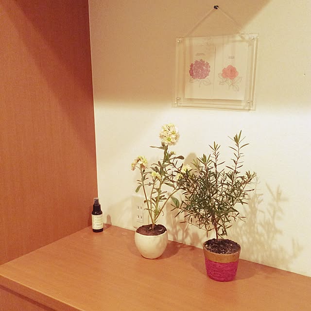 kotaroさんの実例写真