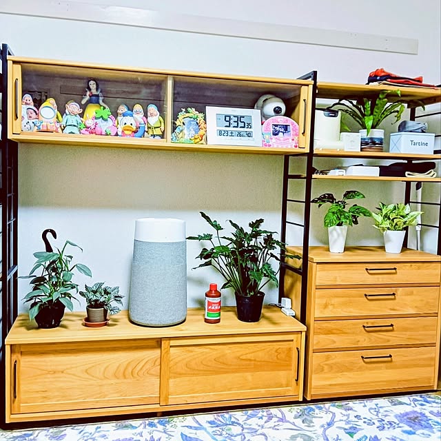 hanachanさんの部屋