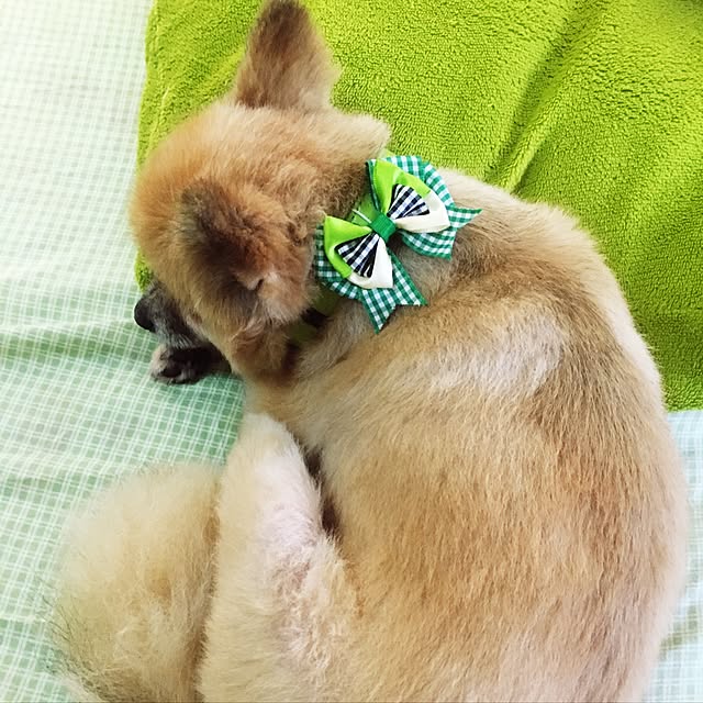 ITO-SHIさんの実例写真