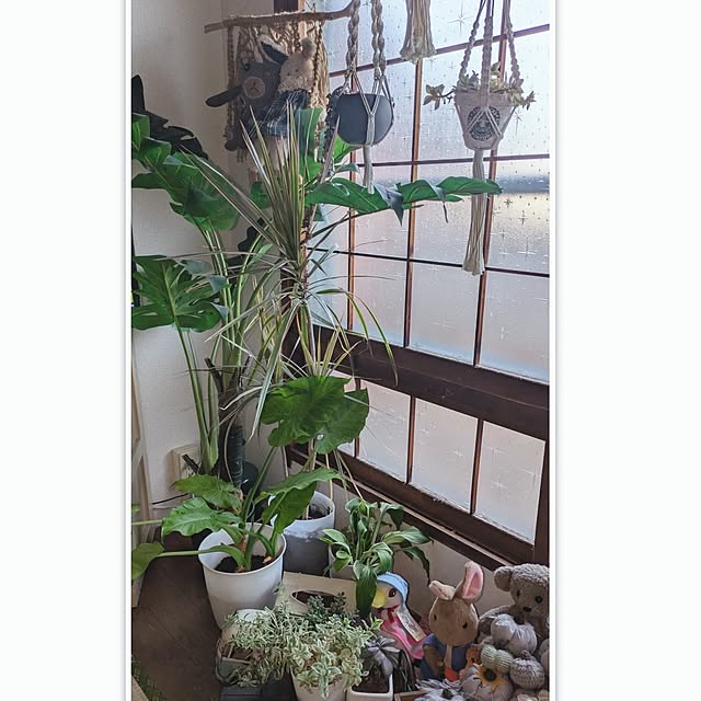 monnさんの部屋