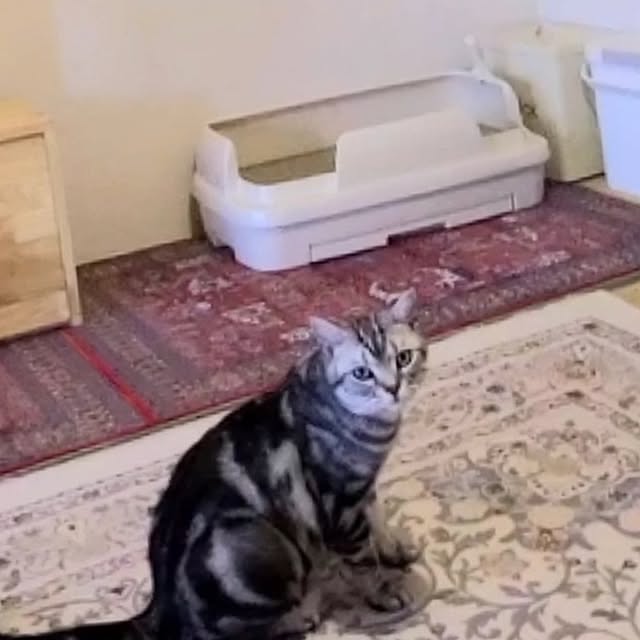 lovepeaceさんの実例写真