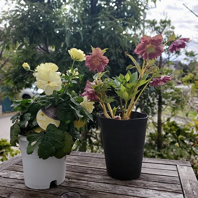 MARIE.color.interiorさんの実例写真