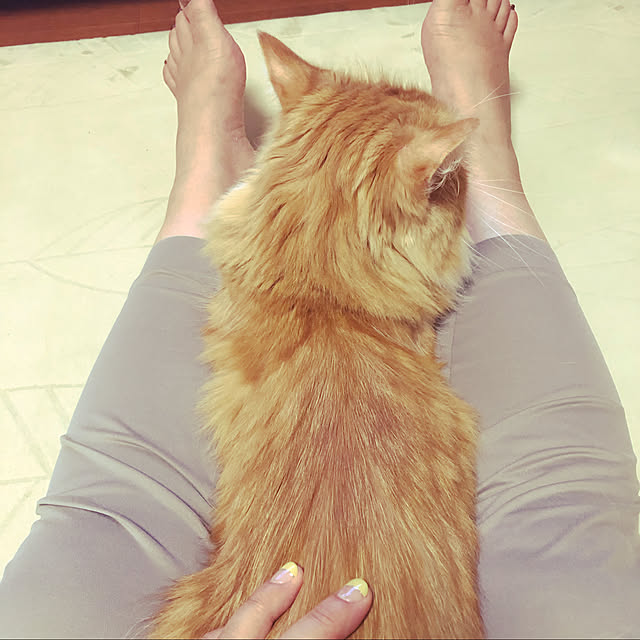 uchidaizuさんの実例写真