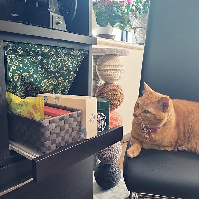 NOAHさんの部屋