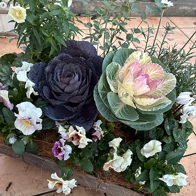 leepo5さんの実例写真