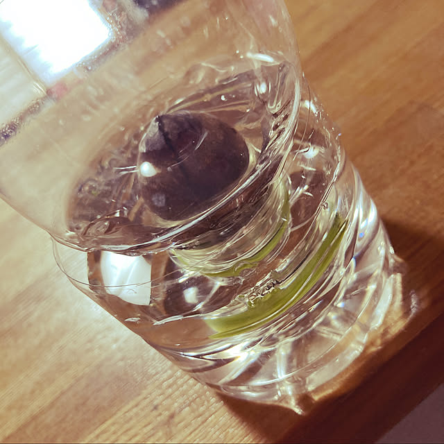 Kyonさんの実例写真