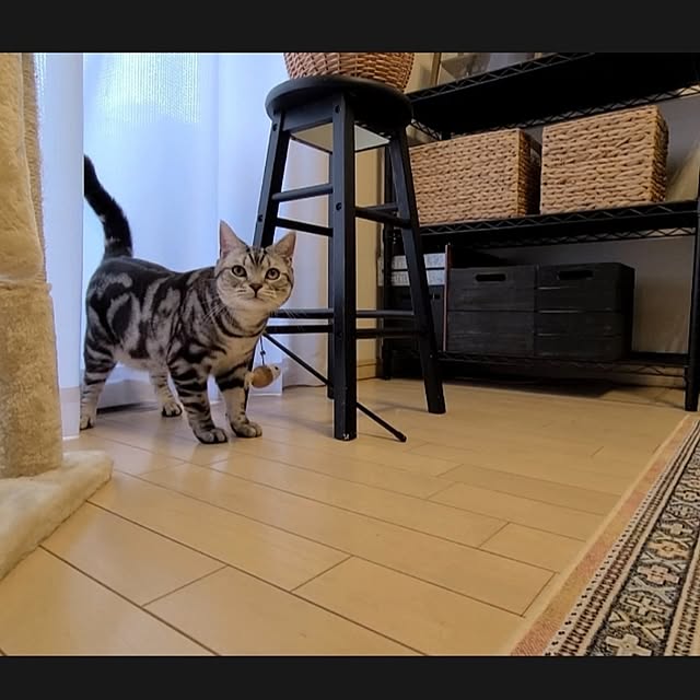 lovepeaceさんの実例写真