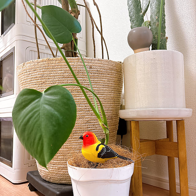 nuiさんの実例写真