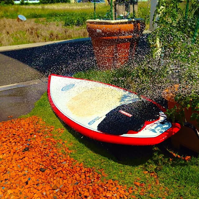 実例写真