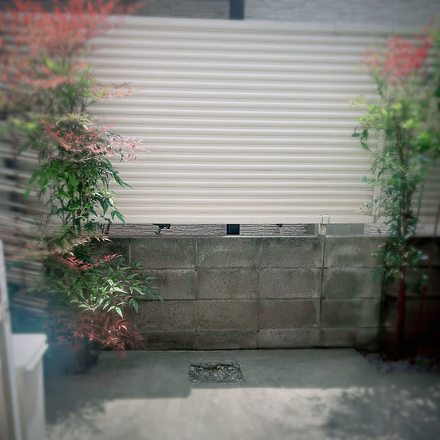 Ruriさんの部屋