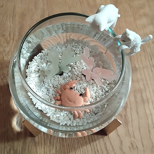 t.yumiさんの部屋