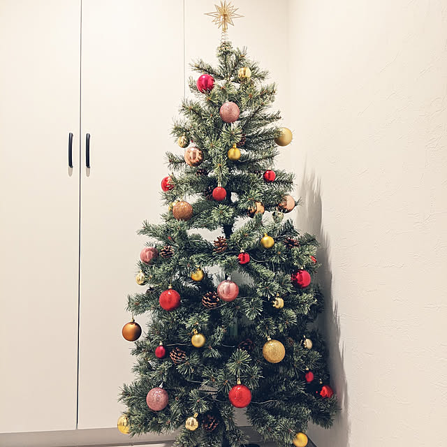 玄関/入り口/北欧/クリスマスツリーのインテリア実例 - 2020-12-06 00:10:51