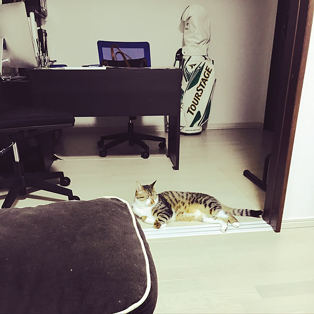 Minaさんの実例写真