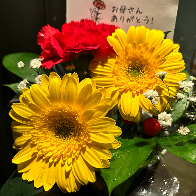 koshiregutyoさんの部屋