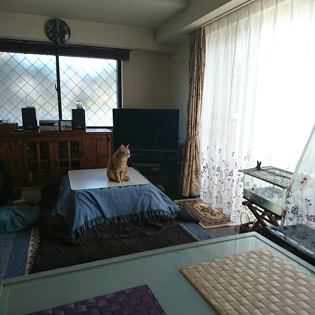 okyosan101さんの実例写真