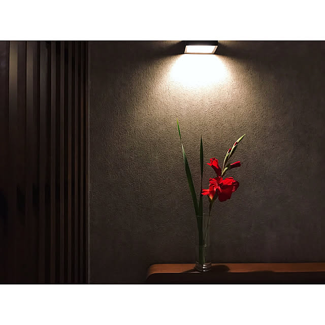 5mayさんの実例写真