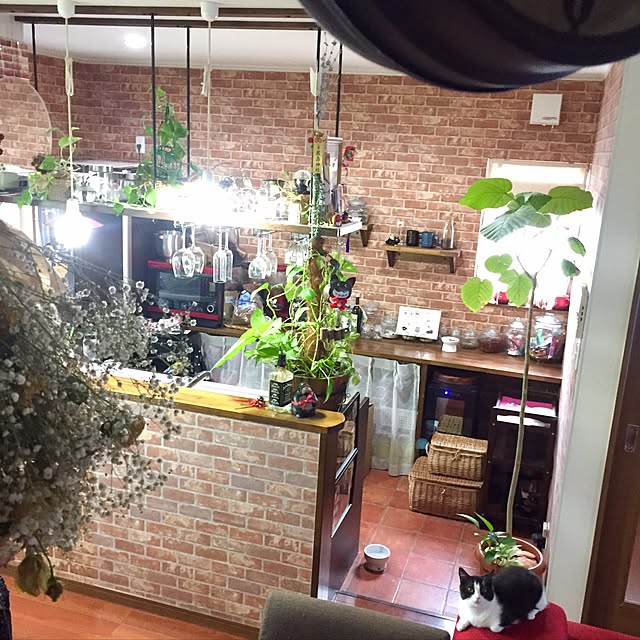 butachanさんの実例写真