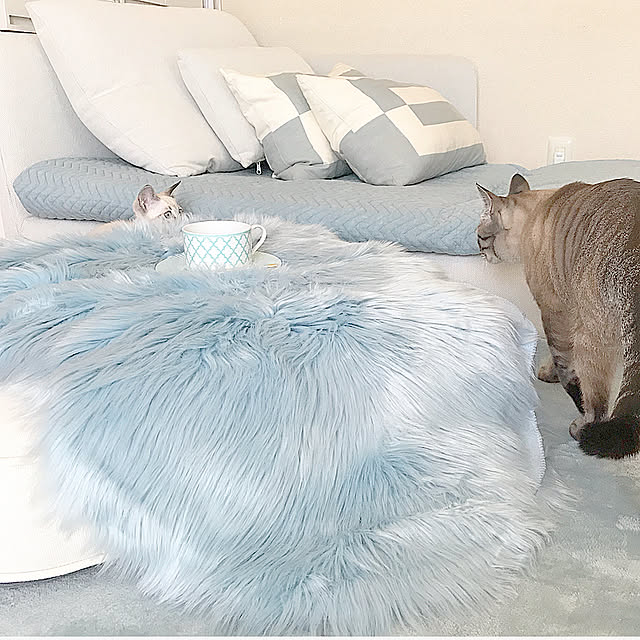 chieさんの実例写真