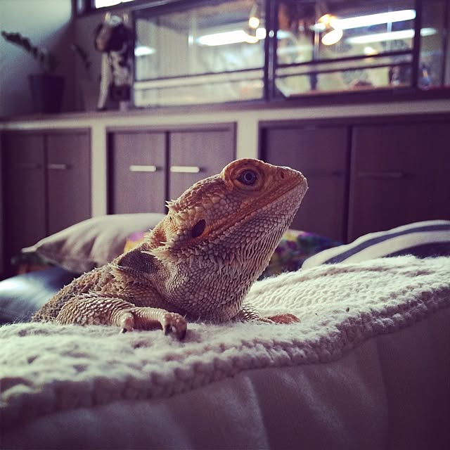 yukiさんの実例写真