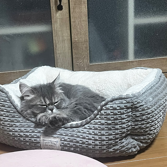 nasuさんの部屋