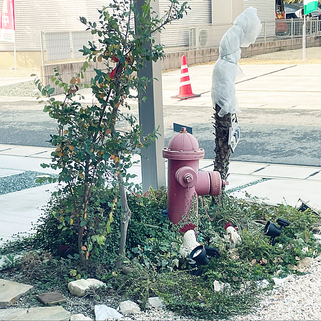 marinkoさんの実例写真