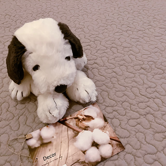 yuukiさんの実例写真