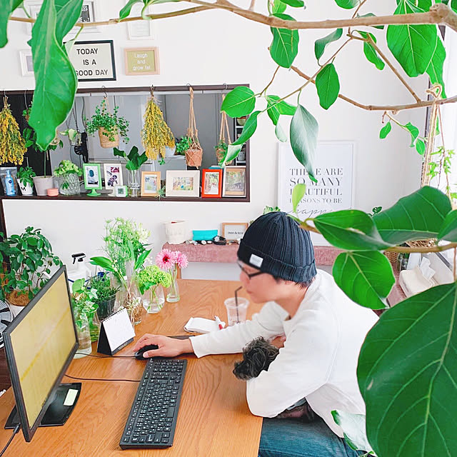 risaさんの実例写真