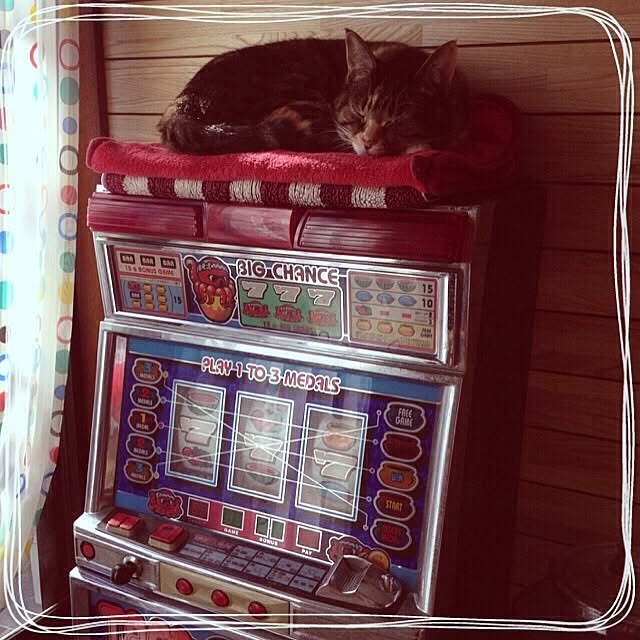 MIYAZOさんの実例写真
