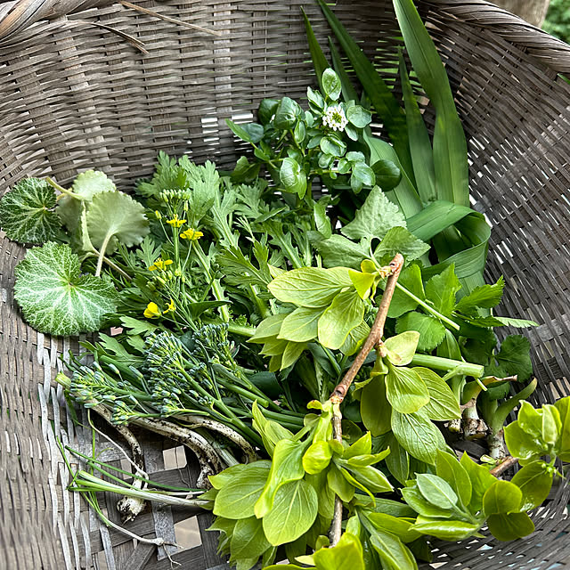 botanさんの部屋