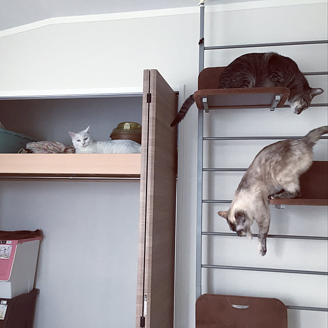 Yukakoさんの実例写真